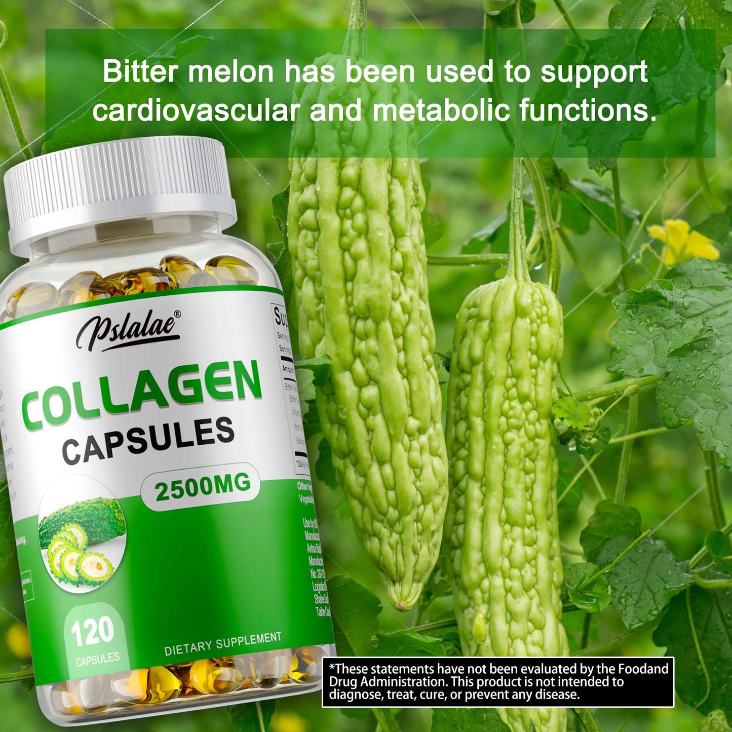Collagen - With Bitter Melon Extract To Promote Weight Management, Reduce Body Anxiety - 120 Capsules