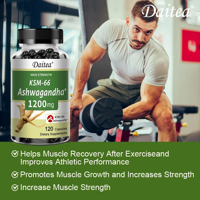 Ashwagandha 1200 mg - Brain & Memory Support, Stress Relief, Supports Energy & Focus, Healthy Muscle Growth, 120 Veggie Capsules